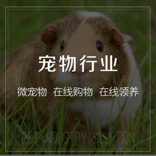 乐东黎族宠物