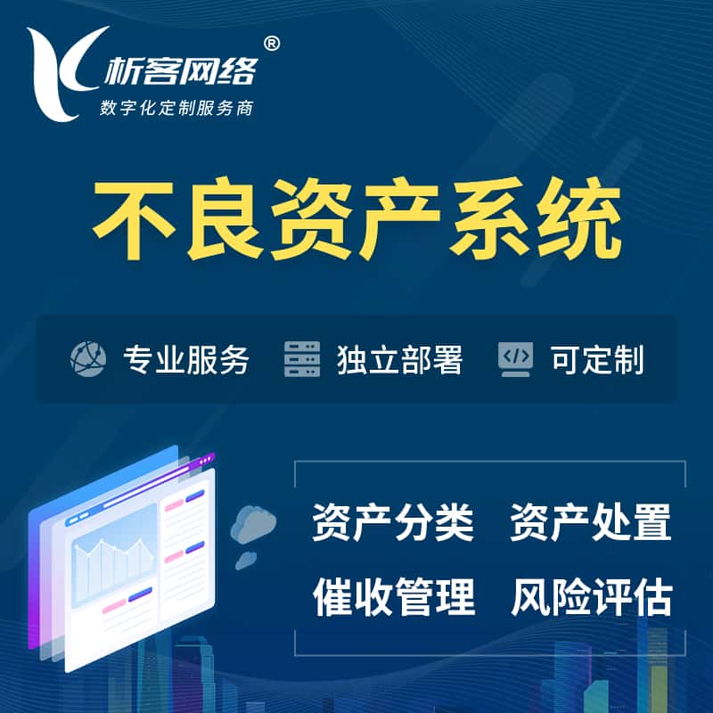 乐东黎族不良资产管理系统