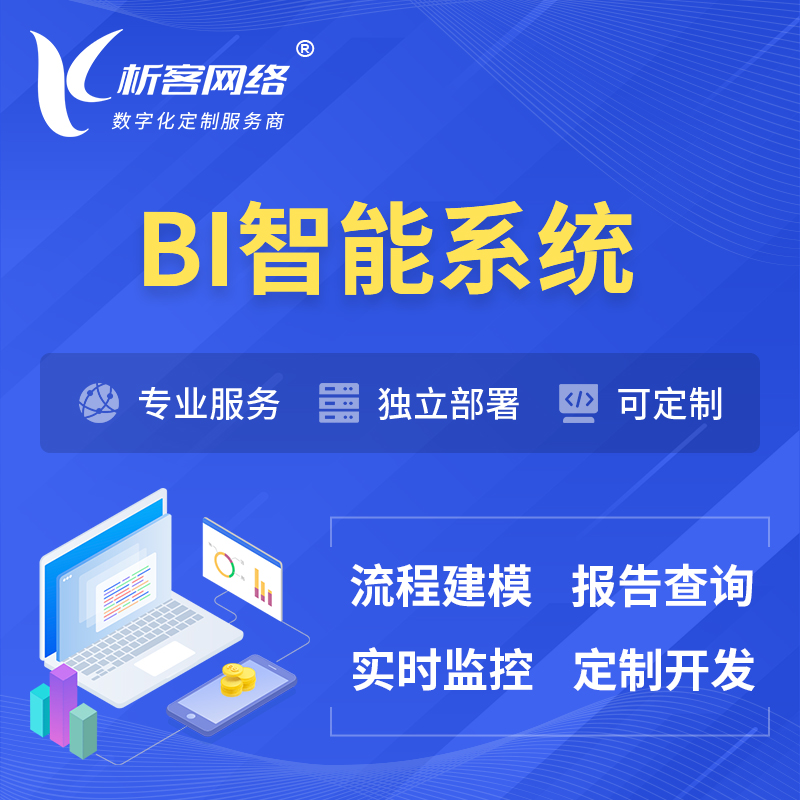 乐东黎族BI智能系统 | BI数据可视化