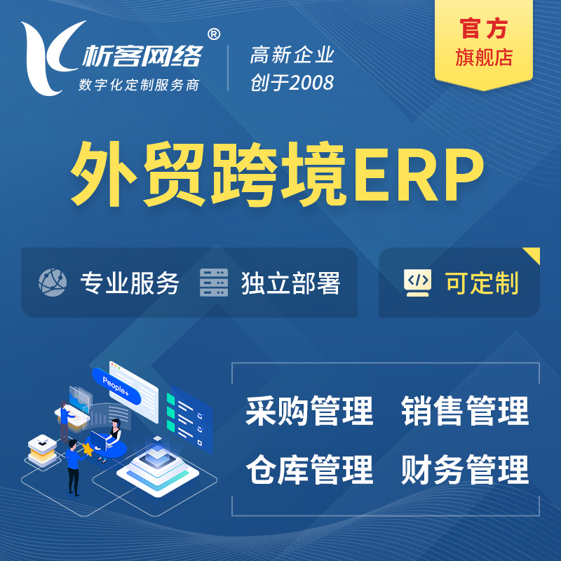 乐东黎族外贸跨境ERP软件生产海外仓ERP管理系统